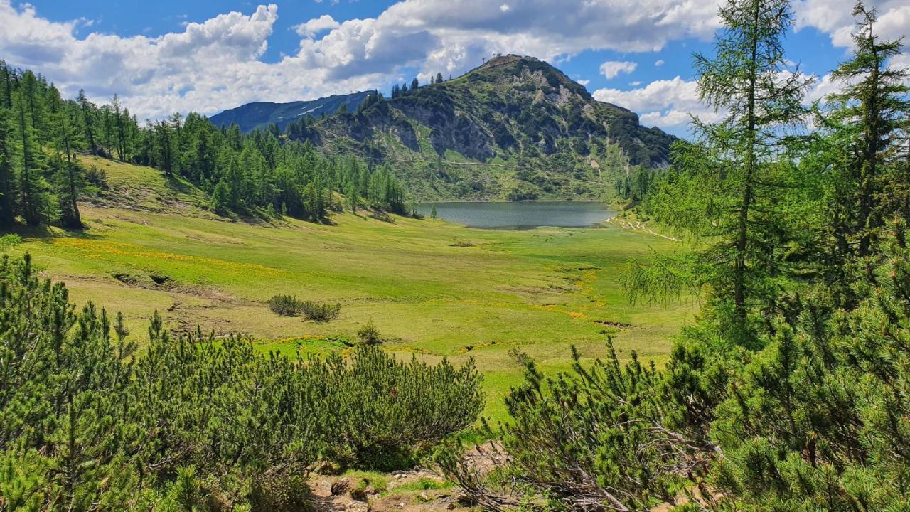 Apartman Tauplitz Bagian luar foto